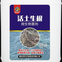 活土生根.爆发式生根.治理土壤重茬.微生物菌剂