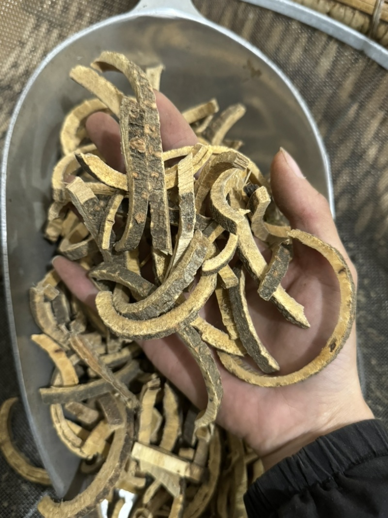 合欢皮保庆药业批发无杂质实拍合欢皮