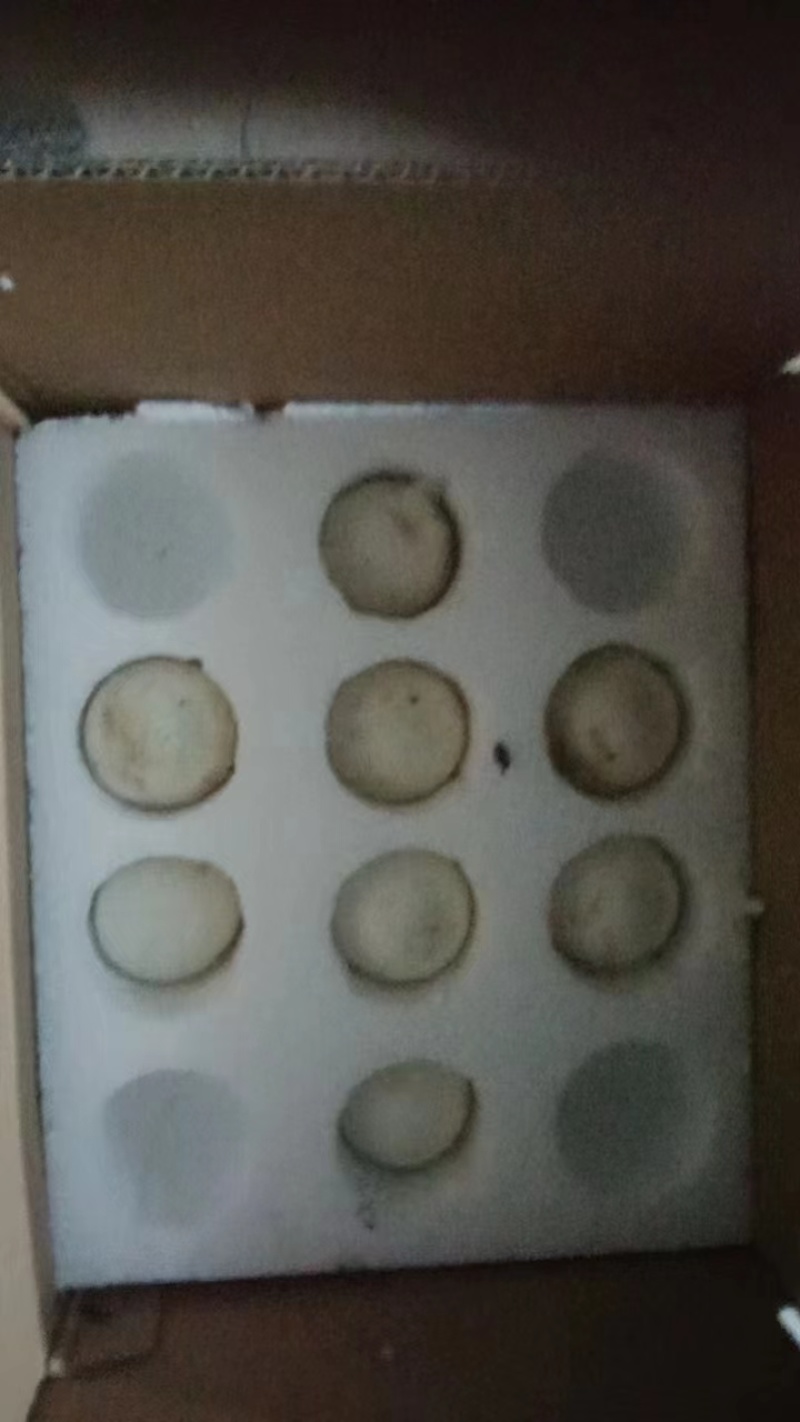 鹅蛋，产地直发量大从优欢迎联系