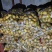 荷兰小土豆优质荷兰十五精选1～3两2～4两