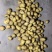 荷兰小土豆优质荷兰十五精选1～3两2～4两