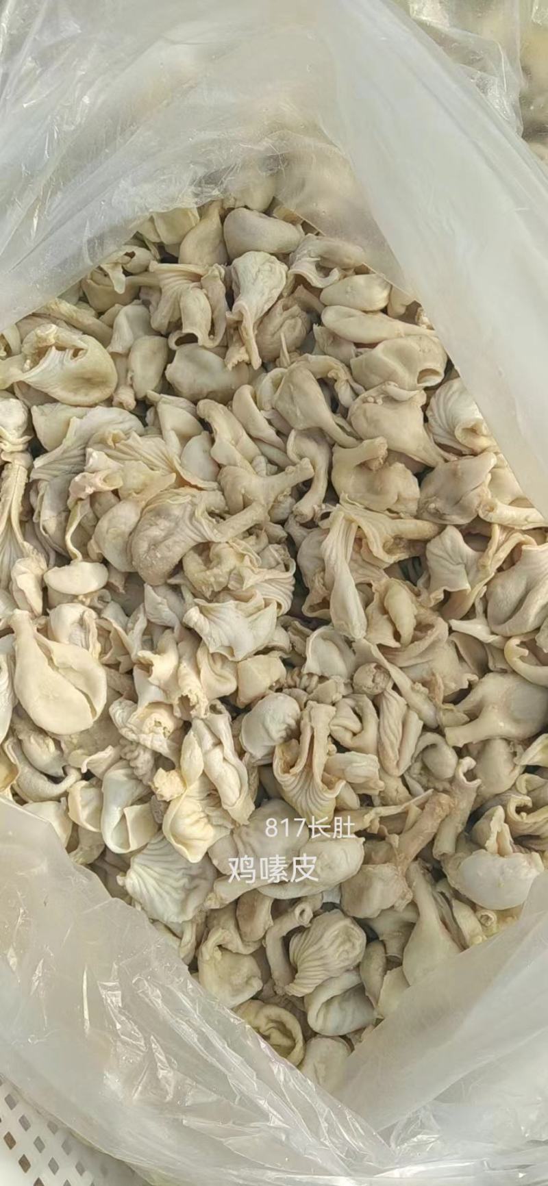 817鸡嗉皮圆肚，八成熟