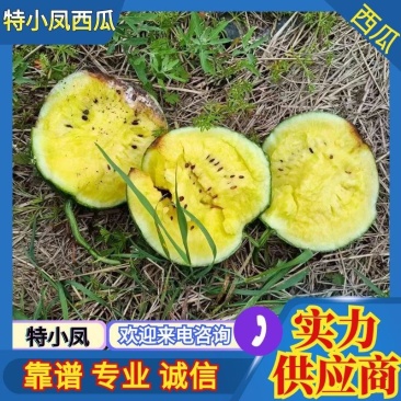 宿迁特小凤西瓜，新鲜采摘诚信合作量大从优欢迎来电