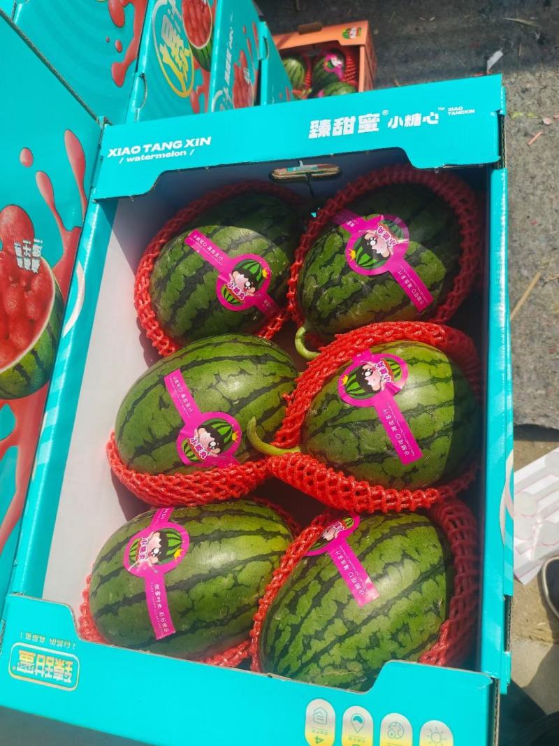 2k吊秧礼品小西瓜