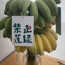 苹果香蕉🍌禁止焦绿