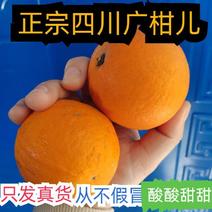 四川正宗广柑脐橙，四川人的特产！支持在线下单，欢迎电联！