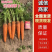 装箱胡萝卜大量现货，质量好，欢迎采购，量大从优