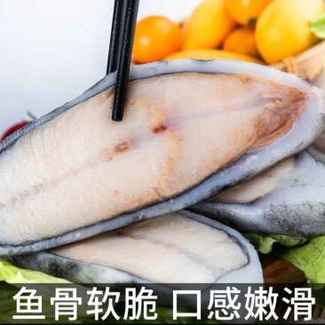 新鲜速冻海参斑鱼块原切石斑鱼块450克/包京东包邮