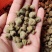 大瑶山高山优质掌叶覆盆子干货中药材大量供应，欢迎采购