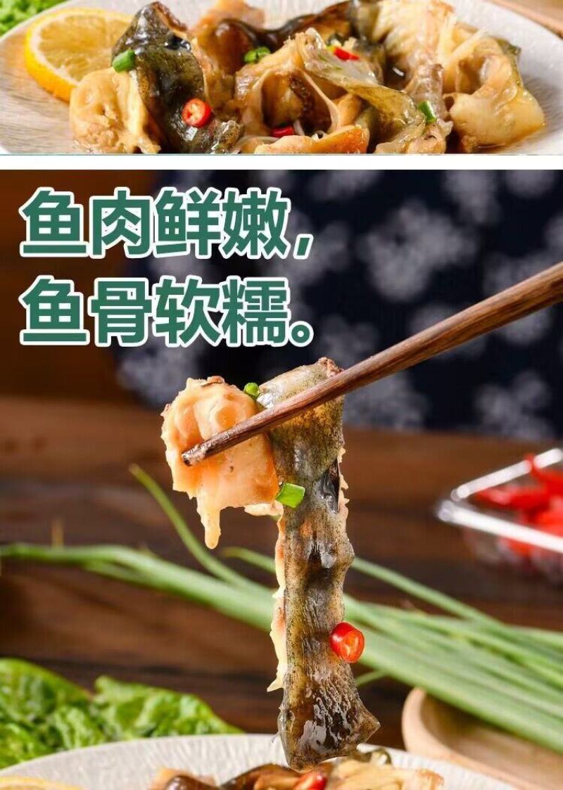 新鲜速冻海参斑鱼块原切石斑鱼块450克/包京东包邮