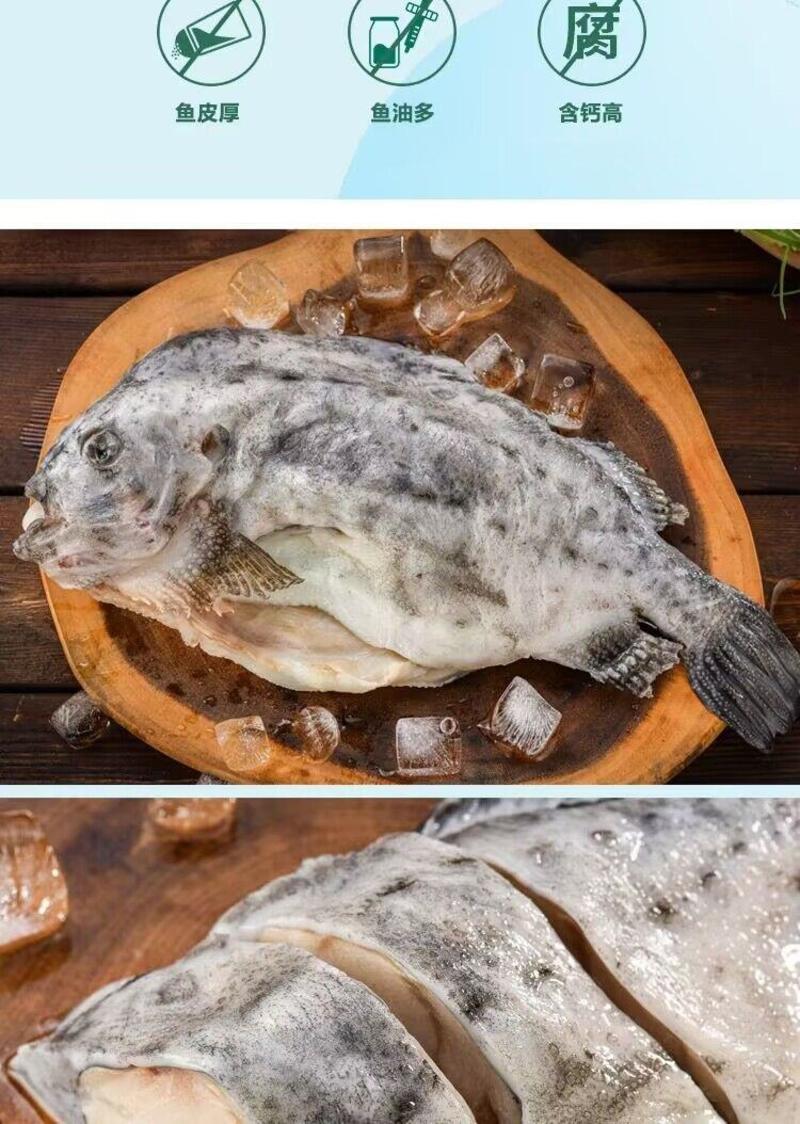 新鲜速冻海参斑鱼块原切石斑鱼块450克/包京东包邮