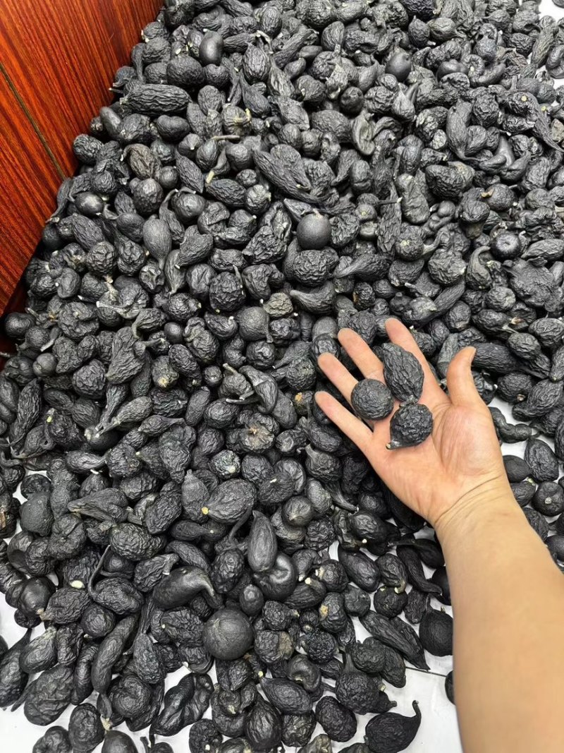 云南乌灵参山货主播推荐大货批发越南鸡纵蛋老挝雷震子一手货