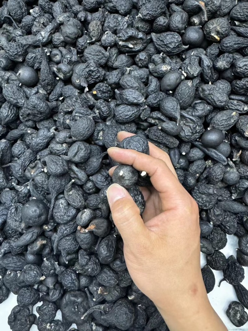 云南乌灵参山货主播推荐大货批发越南鸡纵蛋老挝雷震子一手货