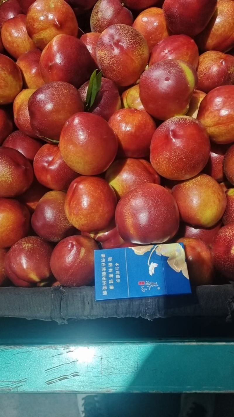 油桃大量上市了，甜度杠杠的，价格优惠了