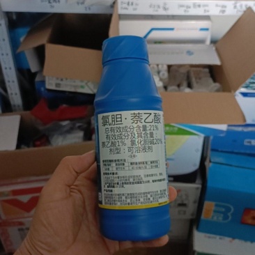 21%氯胆萘乙酸土豆马铃薯洋芋专用膨大素生长调节剂正品