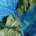 南通海门牛心菜大量供应价格低廉欢迎前来考察采购