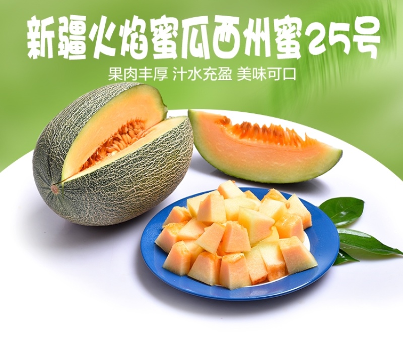 新疆吐鲁番西州蜜哈密瓜一件代发顺丰包邮
