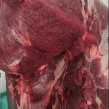生牛肉