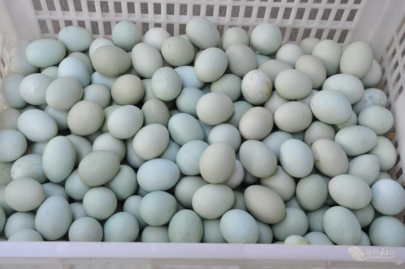 绿壳鸡蛋