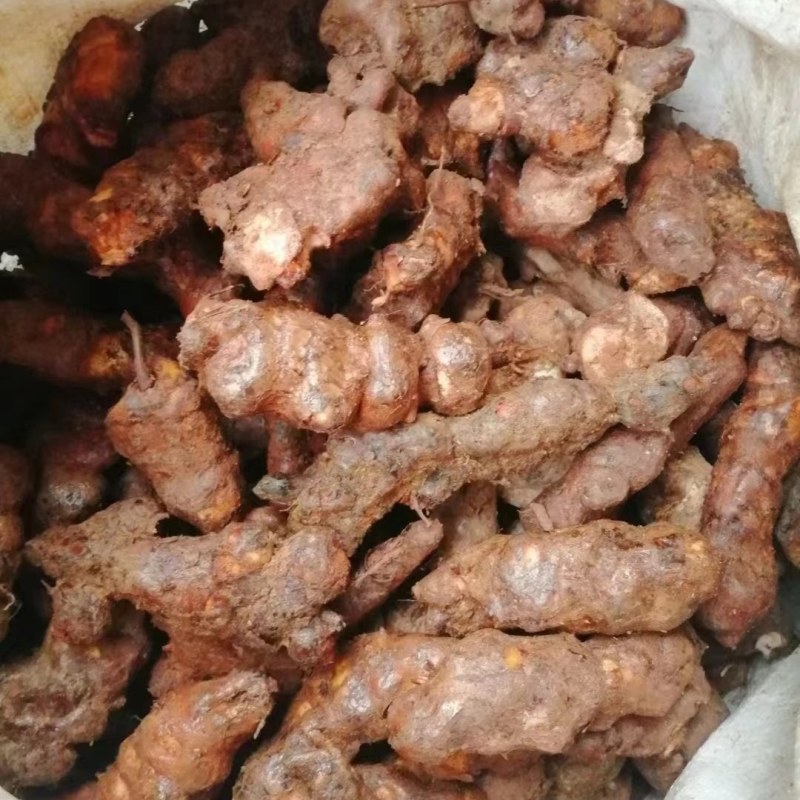 【优选】新鲜茯苓/本地白肉土茯苓，质量新鲜，规格齐全