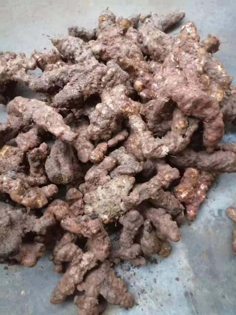 【优选】新鲜茯苓/本地白肉土茯苓，质量新鲜，规格齐全