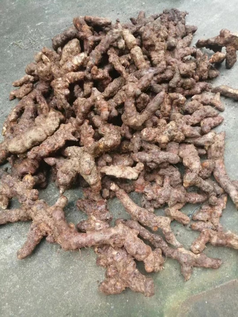 【优选】新鲜茯苓/本地白肉土茯苓，质量新鲜，规格齐全
