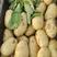 陕西精品黄心土豆，货量充足价低，规格齐全，可视频看货选货