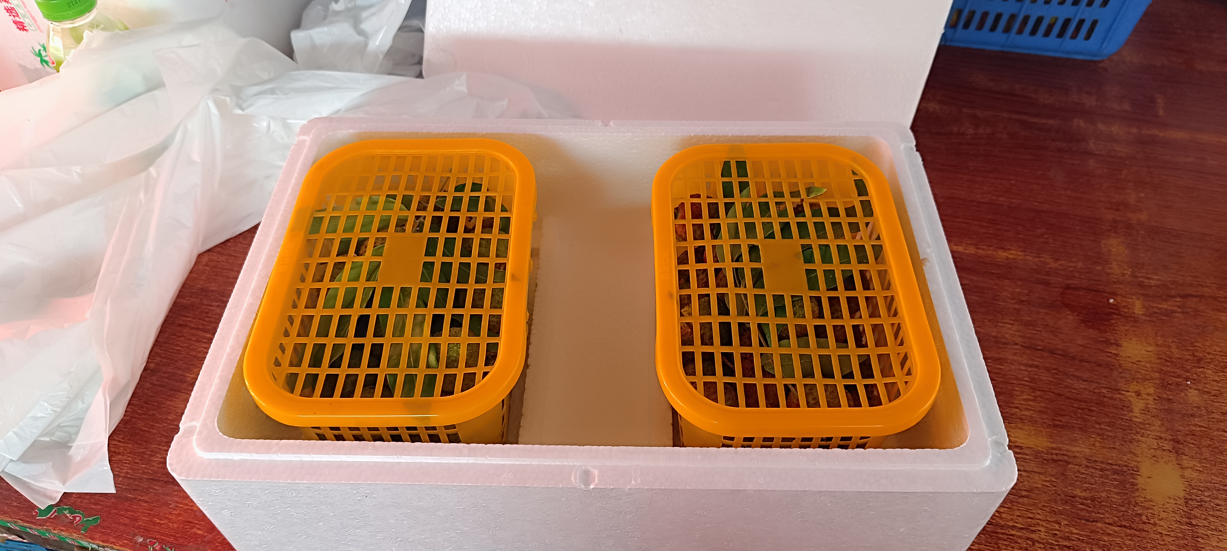妃子笑荔枝礼盒展示图