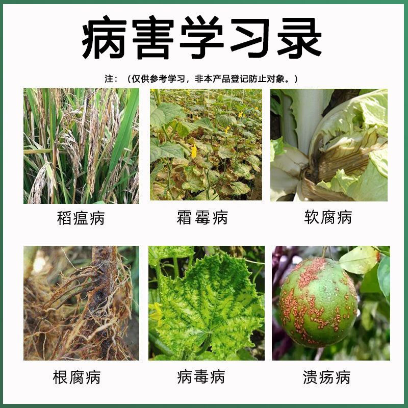 氯溴异氰尿酸农药杀菌剂病毒细菌真菌溃疡根基腐烂疮痂角斑稻瘟枯