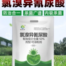 氯溴异氰尿酸农药杀菌剂病毒细菌真菌溃疡根基腐烂疮痂角斑稻瘟枯