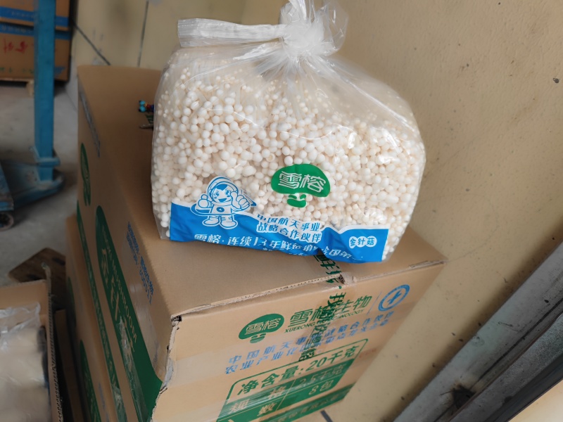 金针菇