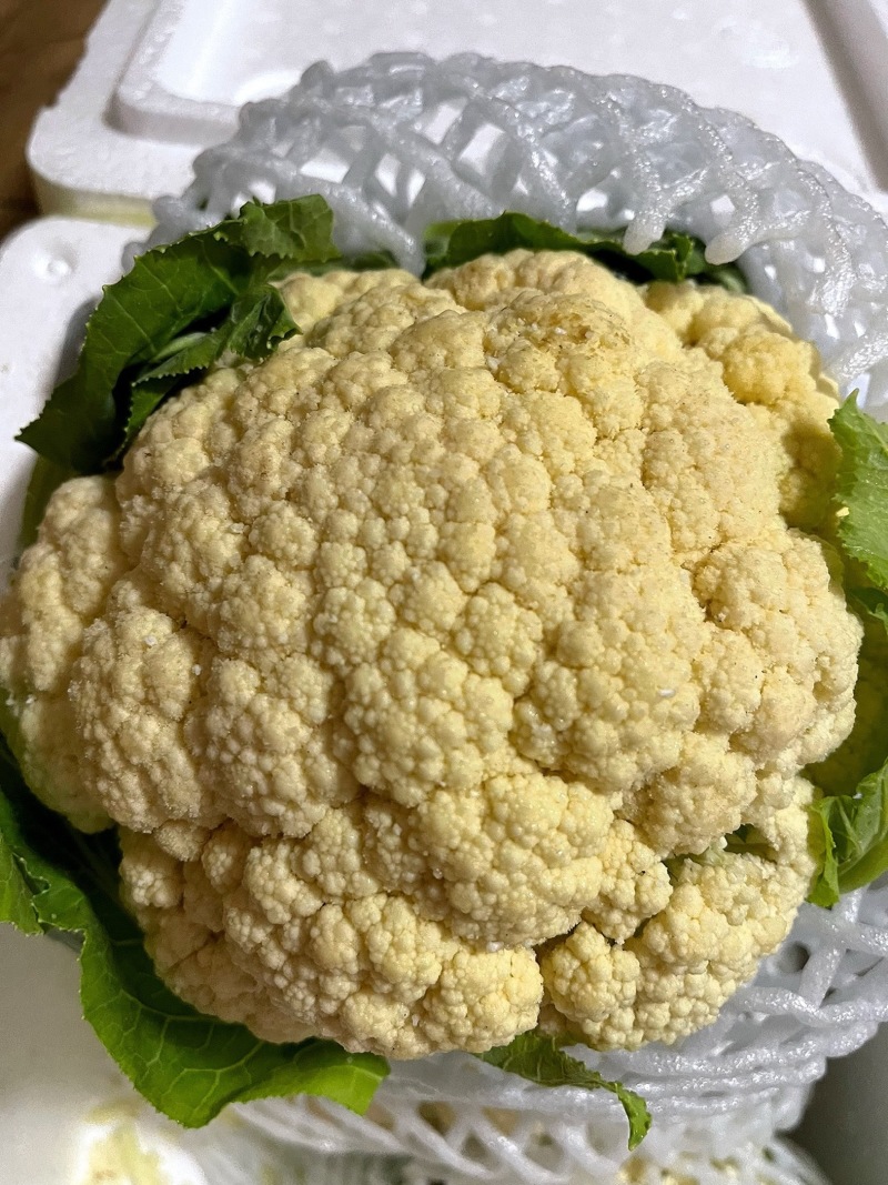 精品花菜产地直供一手货源长期大量稳定供货欢迎合作