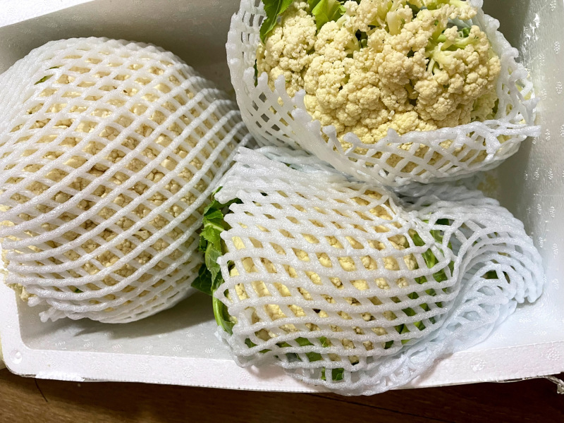 精品花菜产地直供一手货源长期大量稳定供货欢迎合作