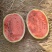 黑美人西瓜🍉口感甜、瓜型好、货源充足、欢迎来电