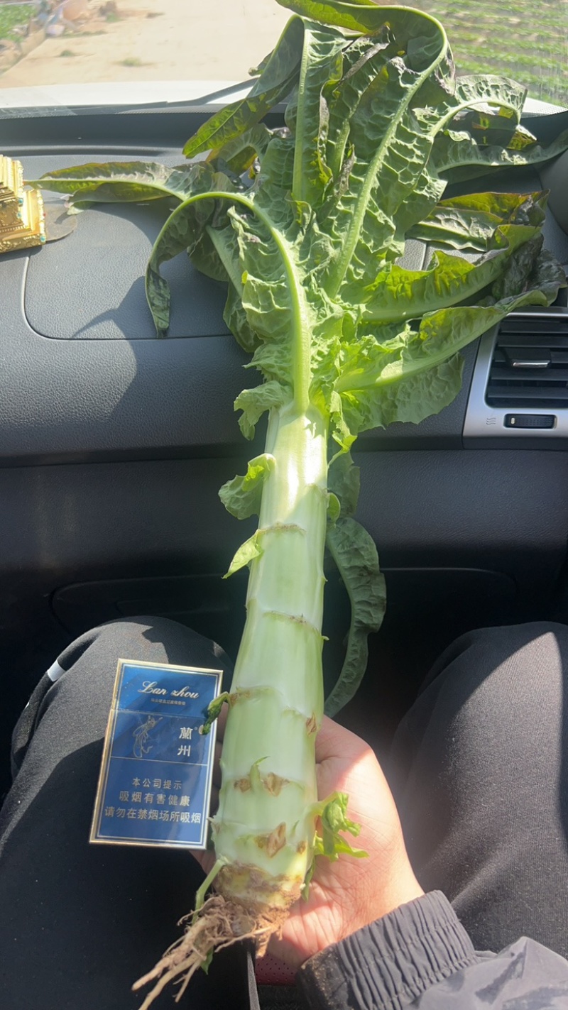 精品红笋，产地直销，货源充足，质量保证，