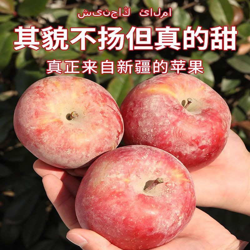 正宗阿克苏红旗坡冰糖心苹果，量大从优保质保量支持在线下单