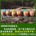 正宗阿克苏红旗坡冰糖心苹果，量大从优保质保量支持在线下单