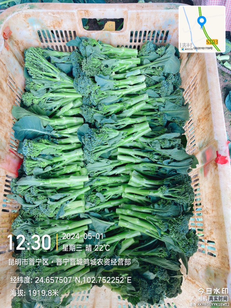 精品