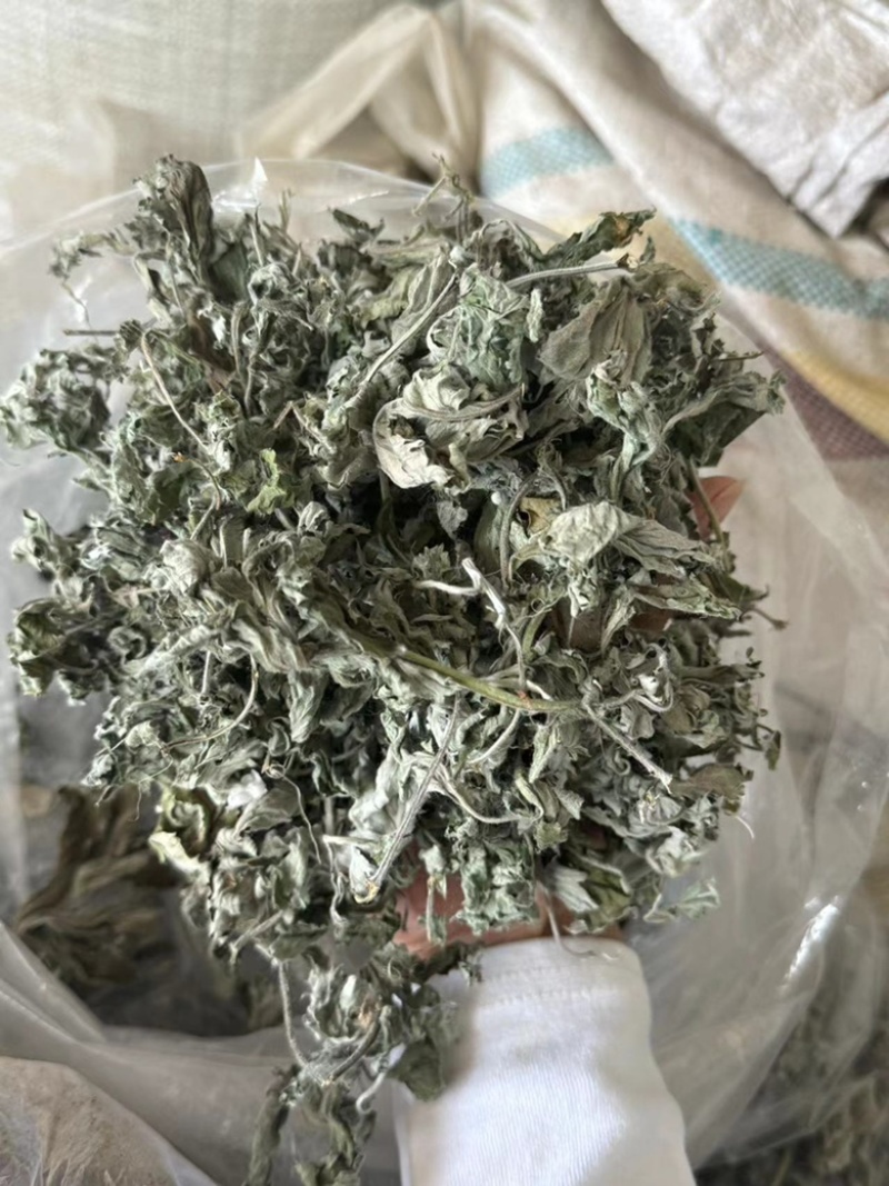 艾叶艾草整个艾叶切片艾叶大艾叶实物拍摄泡脚艾叶