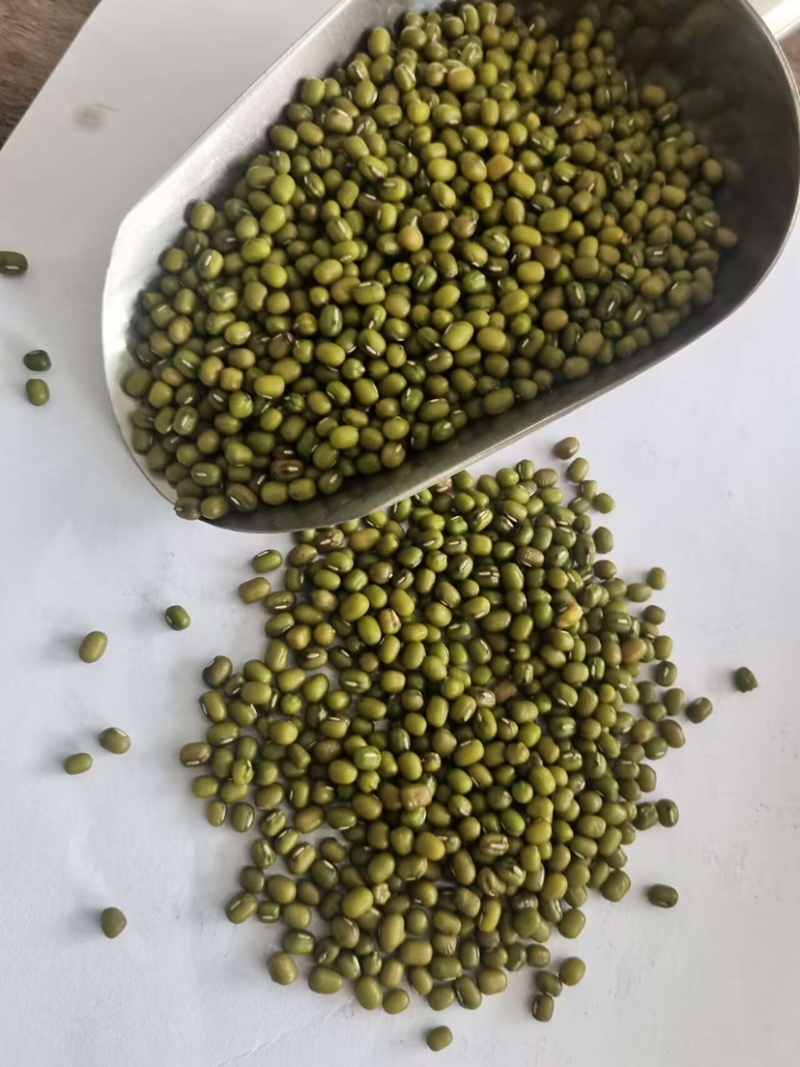 优质一级绿豆中粒