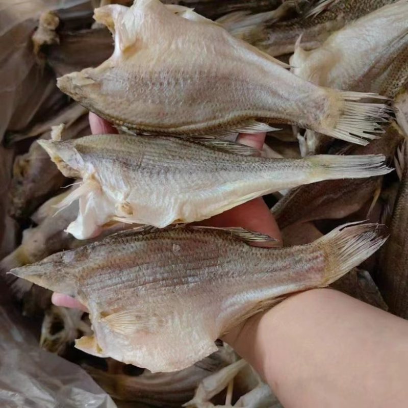 淡水鲈鱼干展会地摊电商鲈鱼干加洲鲈鱼干卢肉大卢鱼卢仔