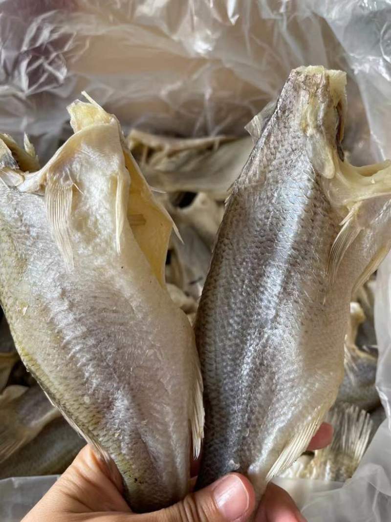 淡水鲈鱼干展会地摊电商鲈鱼干加洲鲈鱼干卢肉大卢鱼卢仔