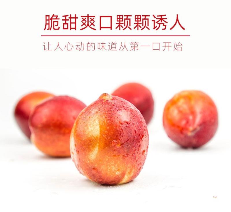 一件代发湖北油桃子当季新鲜现摘水果红皮黄肉油桃