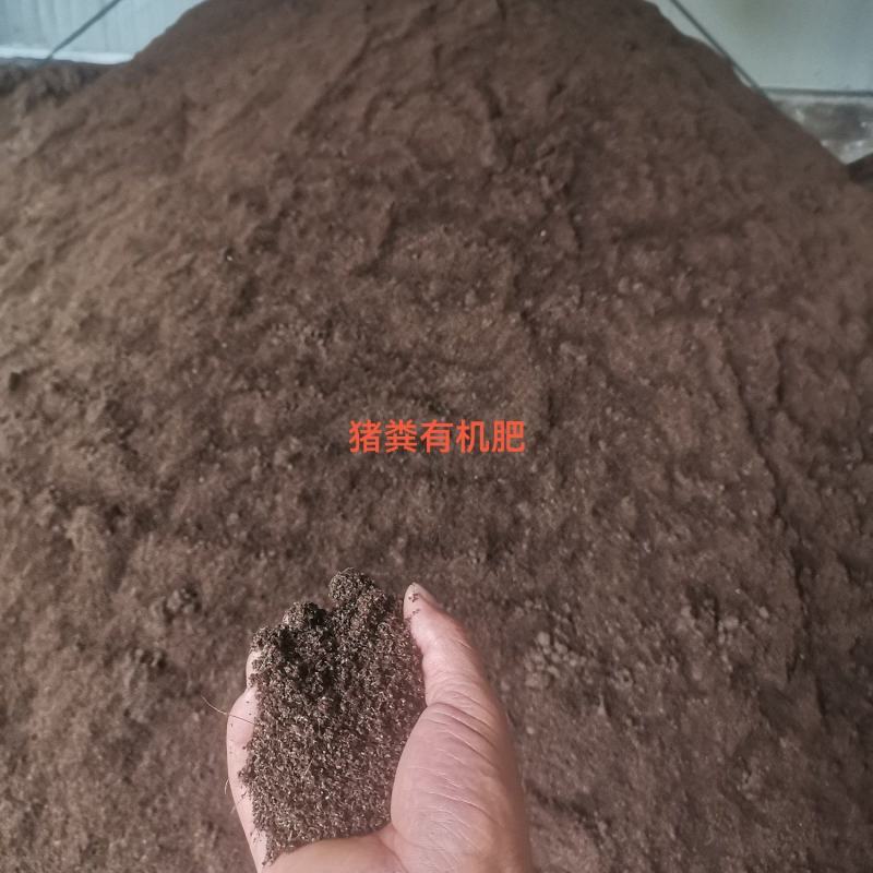 有机肥200方免费送