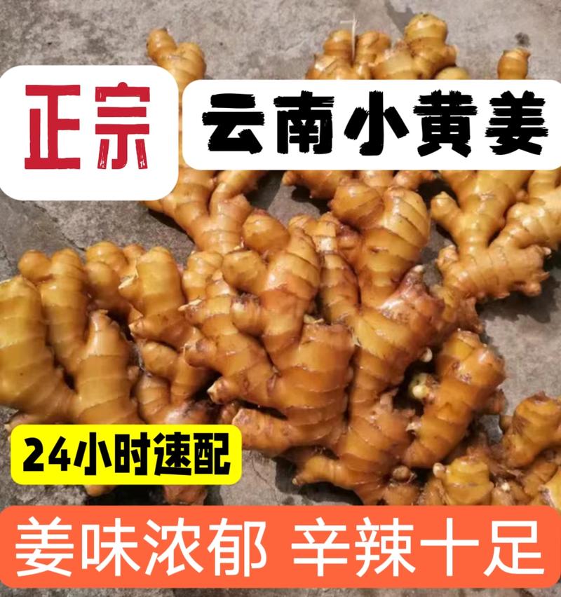 云南产地小黄姜（烤姜/电商姜/市场姜）一手货源/价格便宜