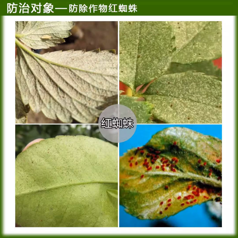 海纳不凡10.5%阿维哒螨灵杀螨剂红蜘蛛螨虫花卉蔬菜瓜果