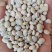 白扁豆，云南药豆白扁豆，干扁豆，大量供应