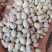 白扁豆，云南药豆白扁豆，干扁豆，大量供应