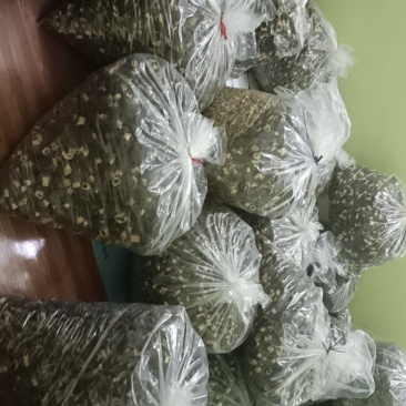 羊肚菌全国发货质量保证欢迎各位电话咨询