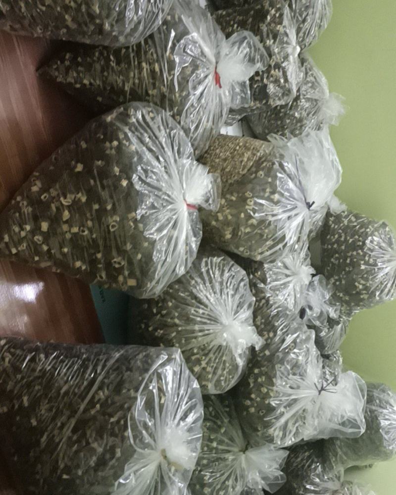 羊肚菌全国发货质量保证欢迎各位电话咨询